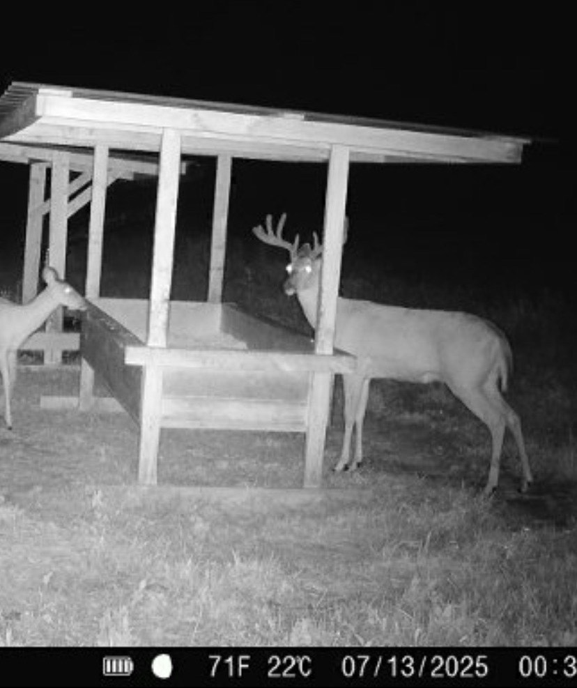 Hoxie Farm Photo